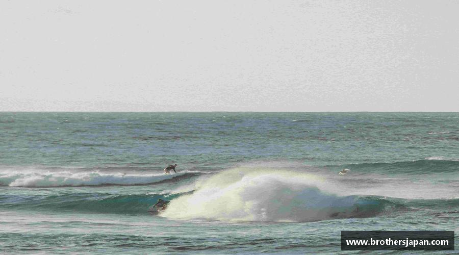 知道永利集团3044am